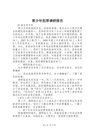 青少年犯罪调研报告