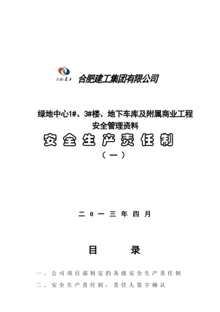 1安全生产责任制(王丽娟)