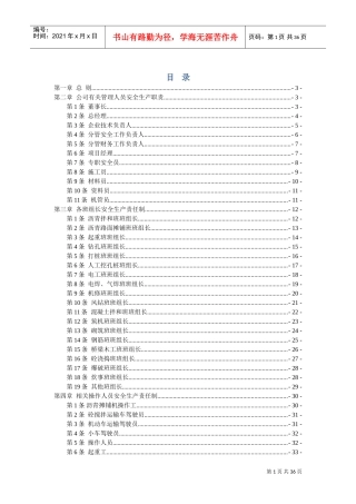 公司安全生产责任制(DOC59页)