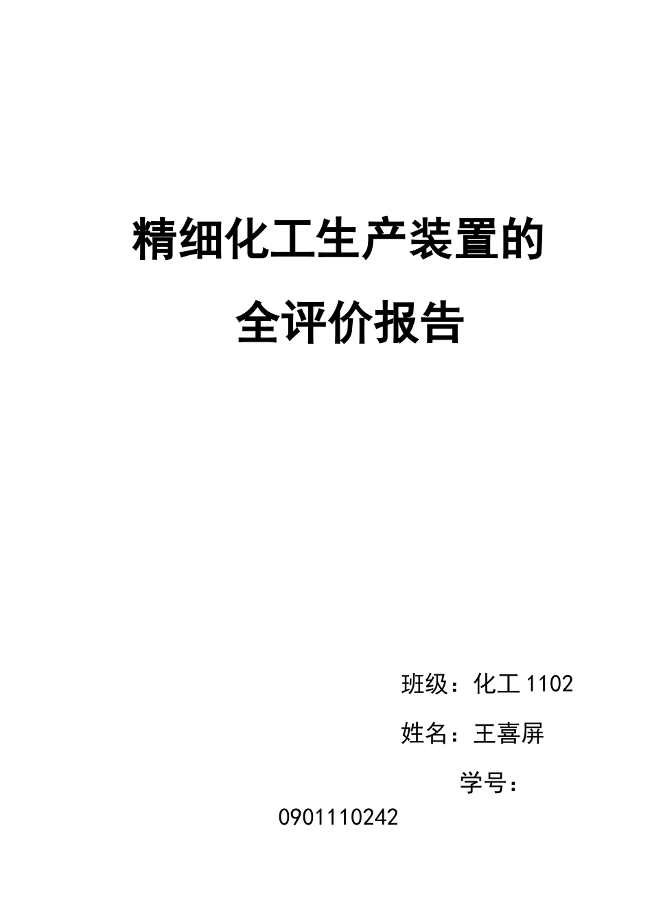 精细化工生产装置的安全评价报告_第1页