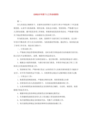 出纳会计年度个人工作总结报告