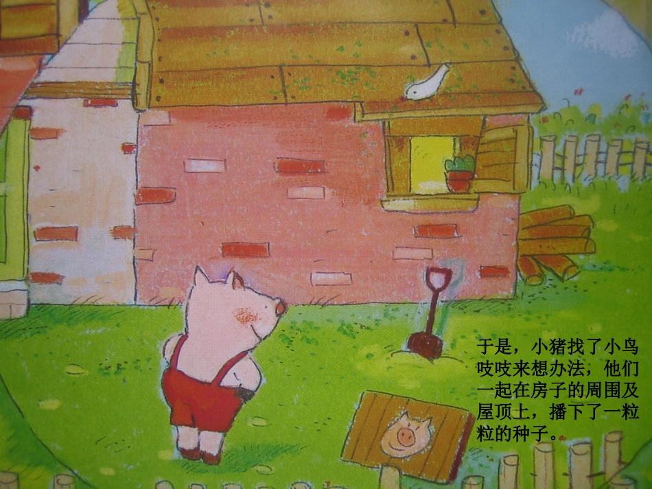 大班语言上变色的房子3_第3页