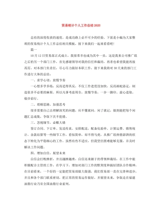 贸易统计个人工作总结2