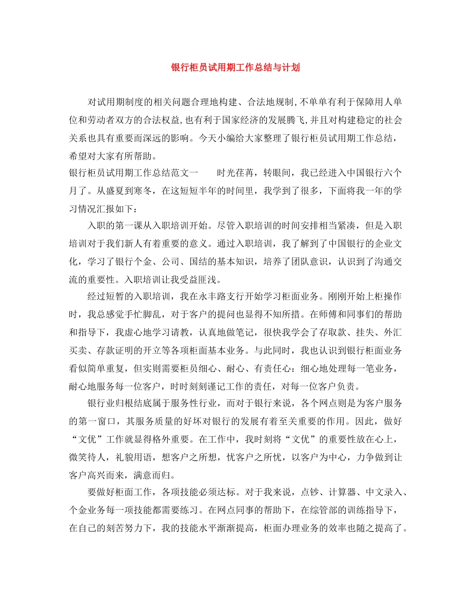 银行柜员试用期工作总结与计划 _第1页