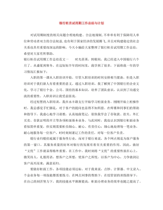 银行柜员试用期工作总结与计划 