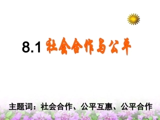社会合作与公平