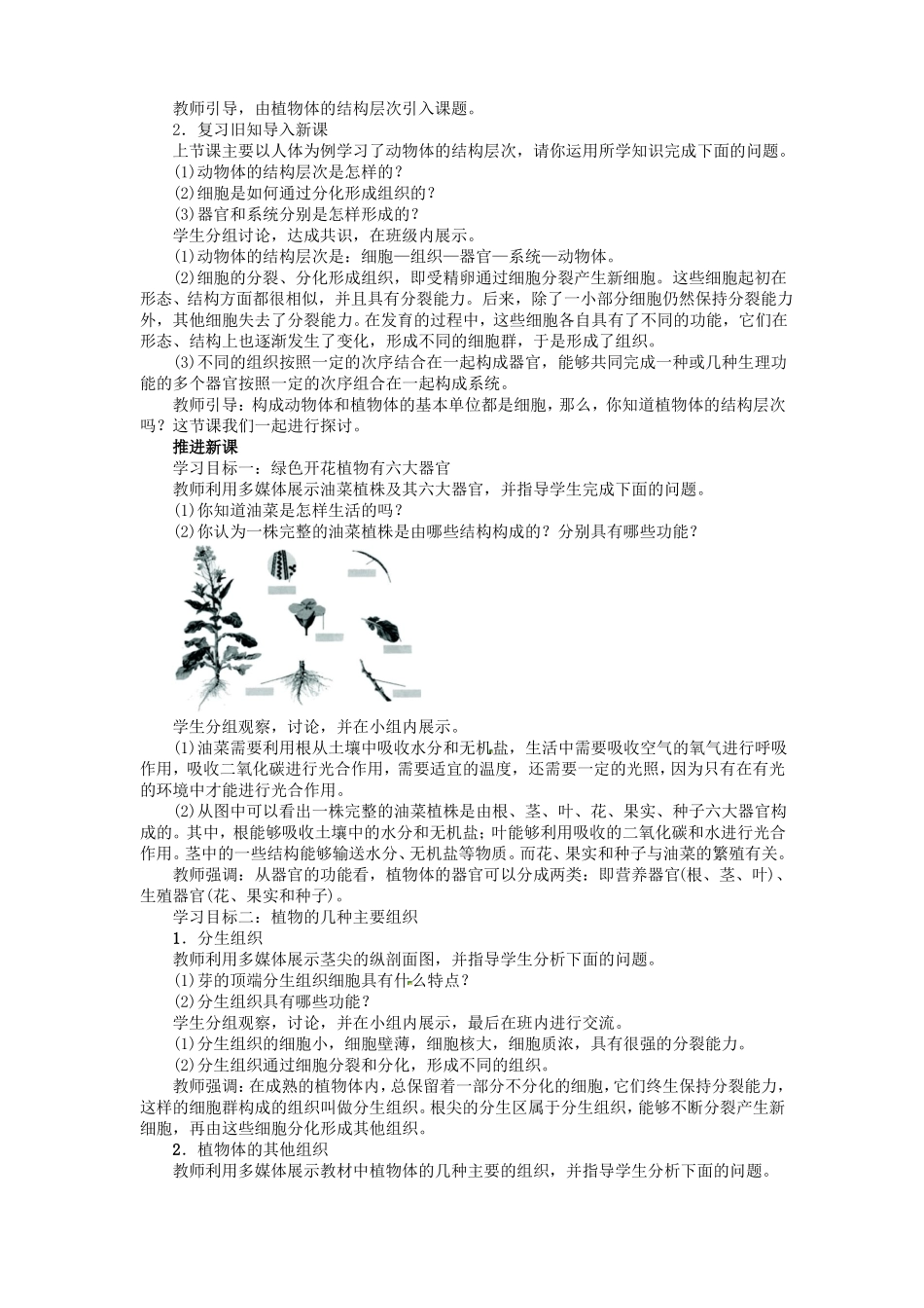 植物体的结构层次教案_第2页