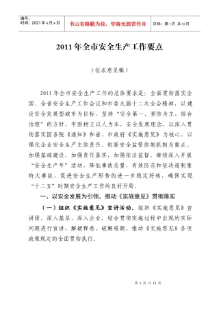 XXXX年全市安全生产工作要点