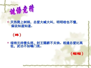 《绿色蝈蝈》课件