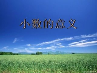 _小数的意义