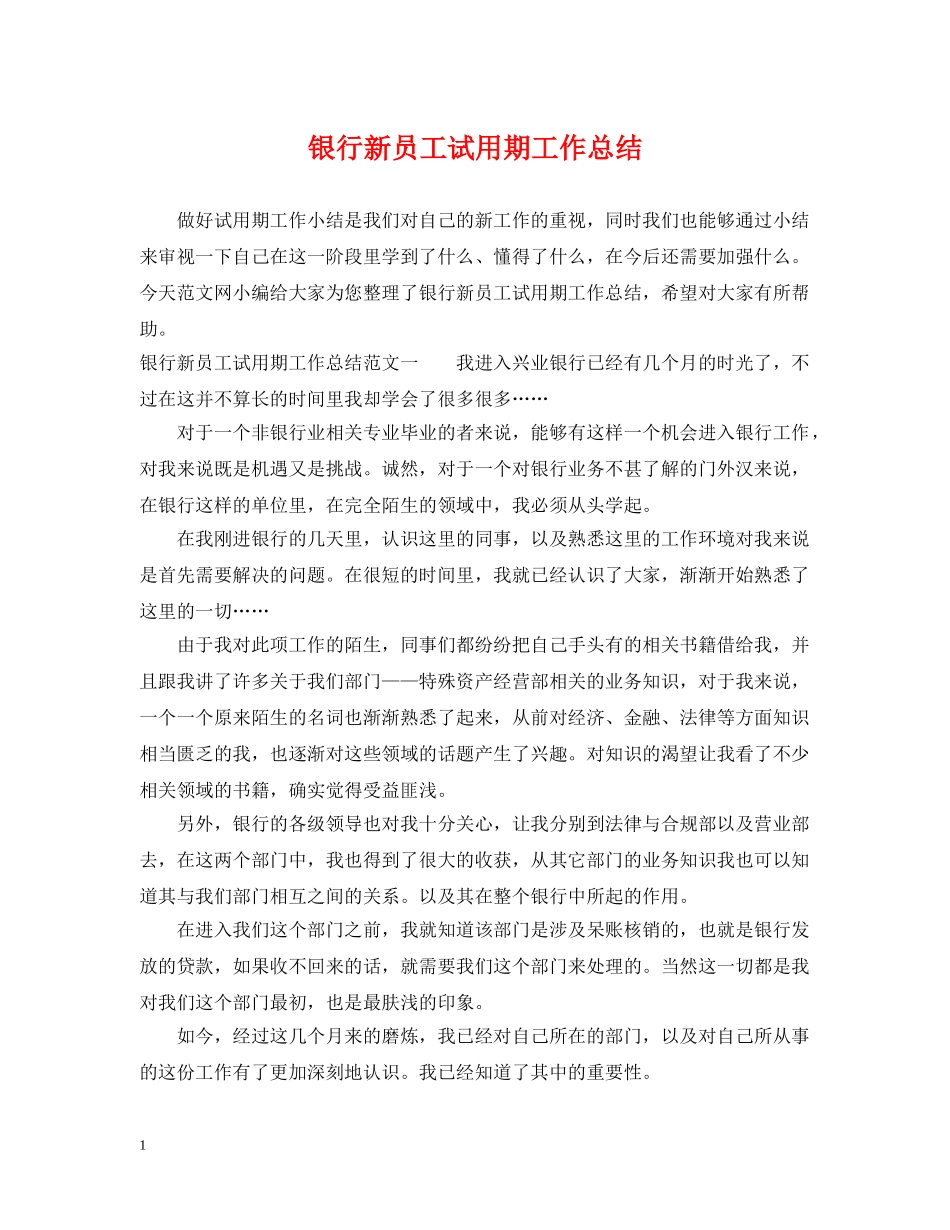 银行新员工试用期工作总结 _第1页