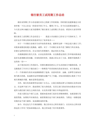 银行新员工试用期工作总结 