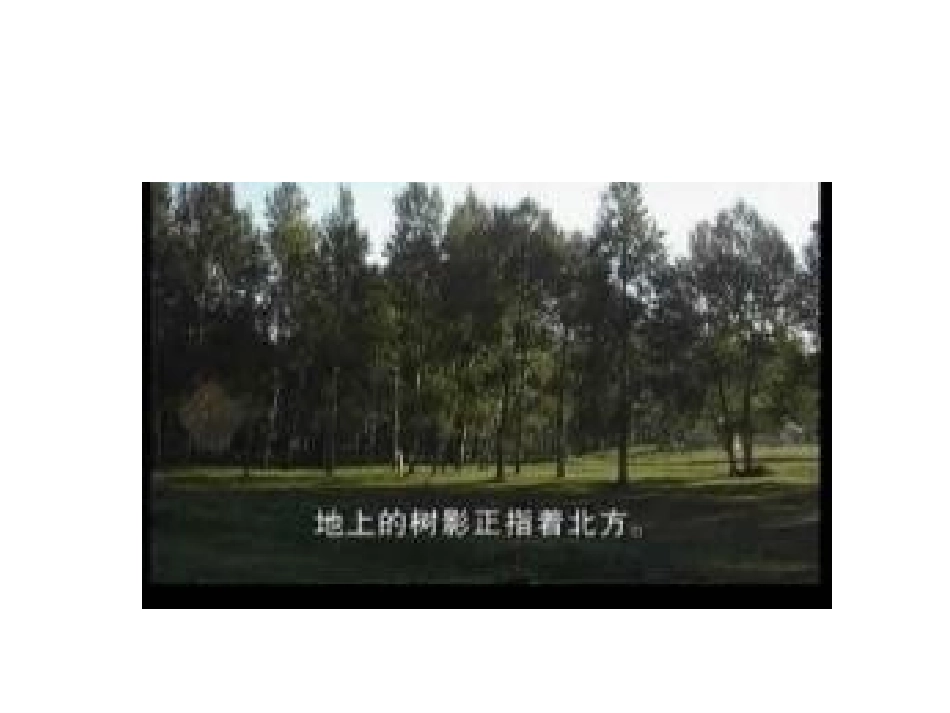 要是你在野外迷了路 (2)_第3页