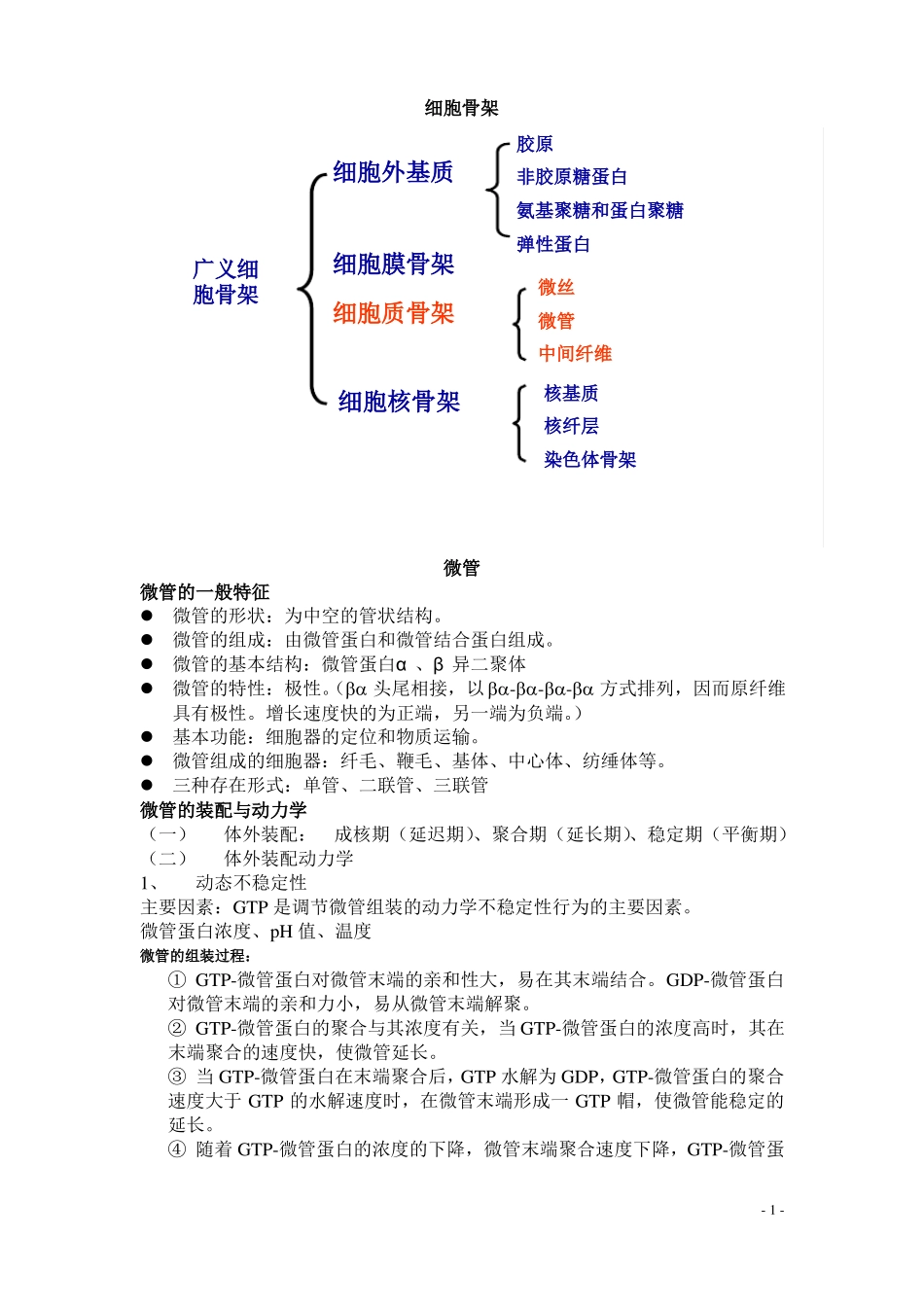 细胞骨架与细胞的运动复习提纲_第1页