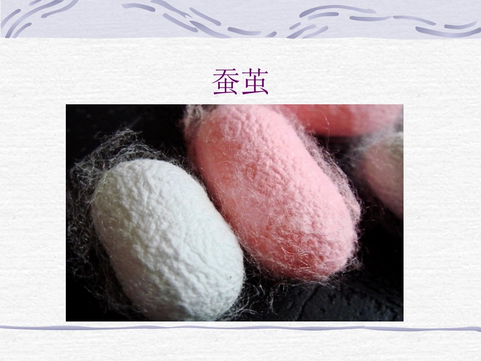 -蚕变了新模样_第3页