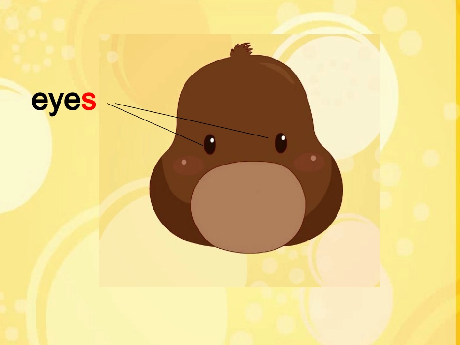 身体部位课件_第2页