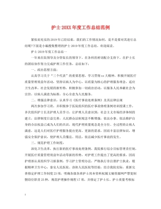 护士度工作总结范例