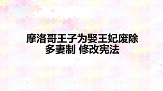 摩洛哥王子为娶王妃废除多妻制修改宪法