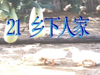 乡下人家 (3)