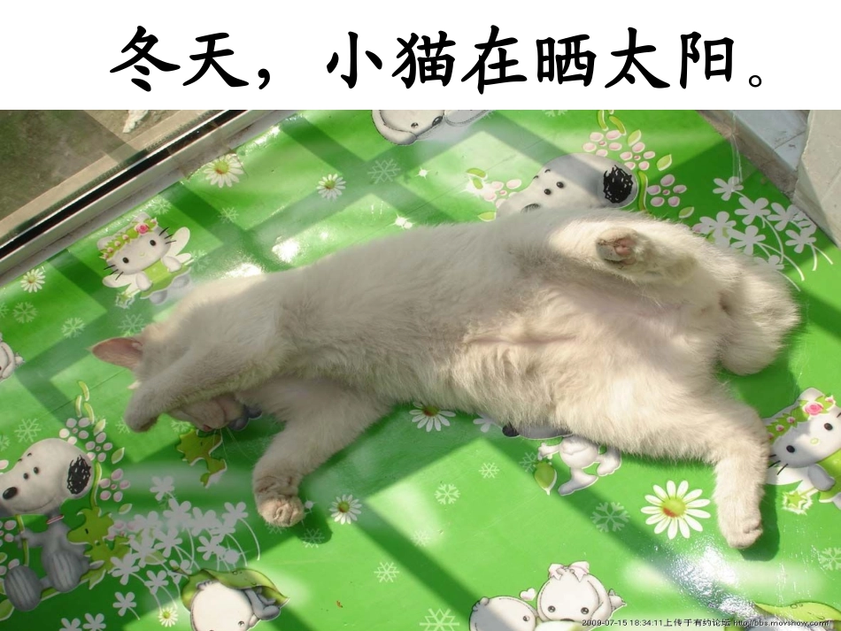 《18、四个太阳》_第3页