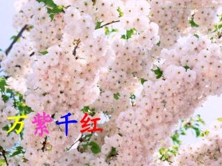 《18、四个太阳》