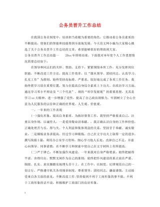 公务员晋升工作总结