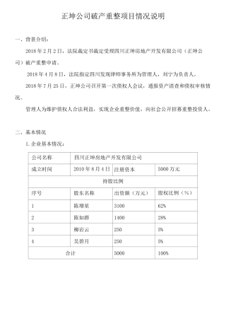 正坤项目破产重整项目说明