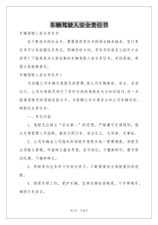 车辆驾驶人安全责任书