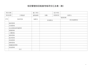 项目管理检查考核评分表(项目)
