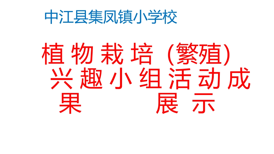 植物栽培（繁殖）活动演示文稿_第1页