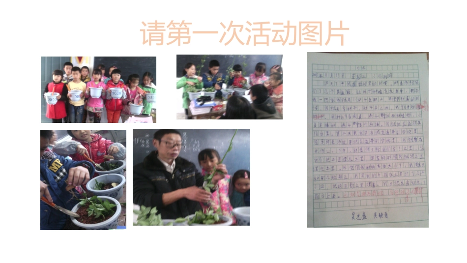 植物栽培（繁殖）活动演示文稿_第2页