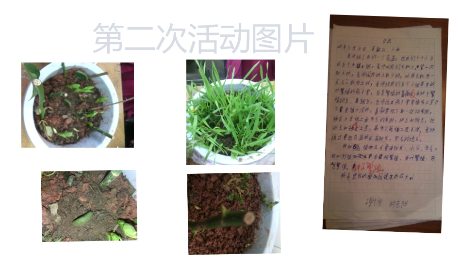 植物栽培（繁殖）活动演示文稿_第3页