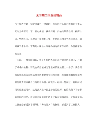 节日讲话见习期工作总结精品