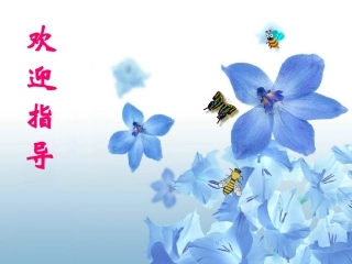 影响价格的因素课件