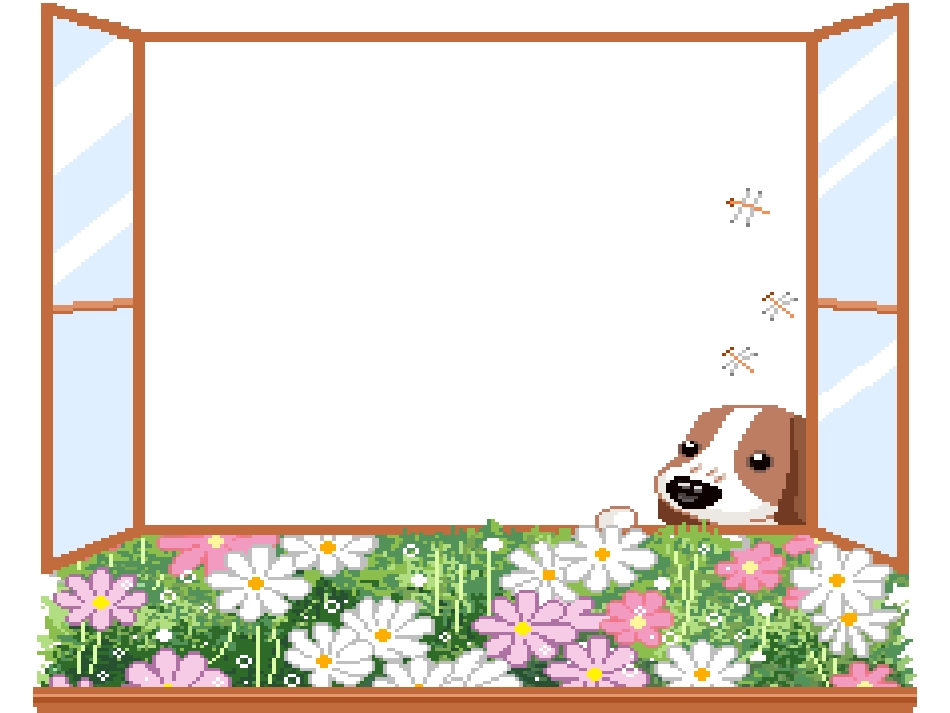 窗前的气球PPT_第1页