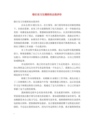 银行实习生精彩的自我评价 