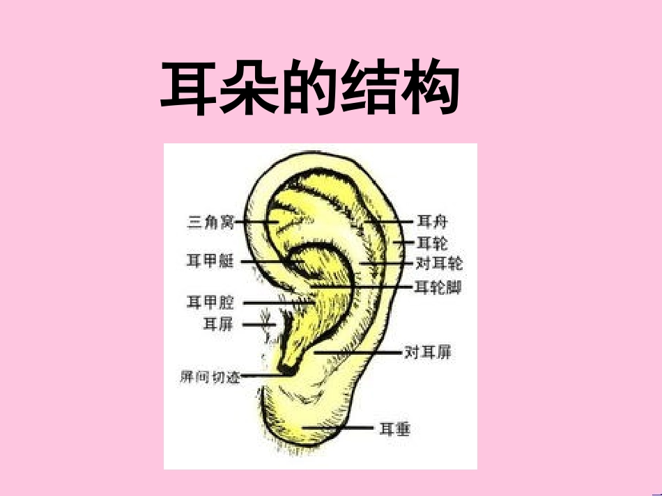 耳朵有什么用_第3页