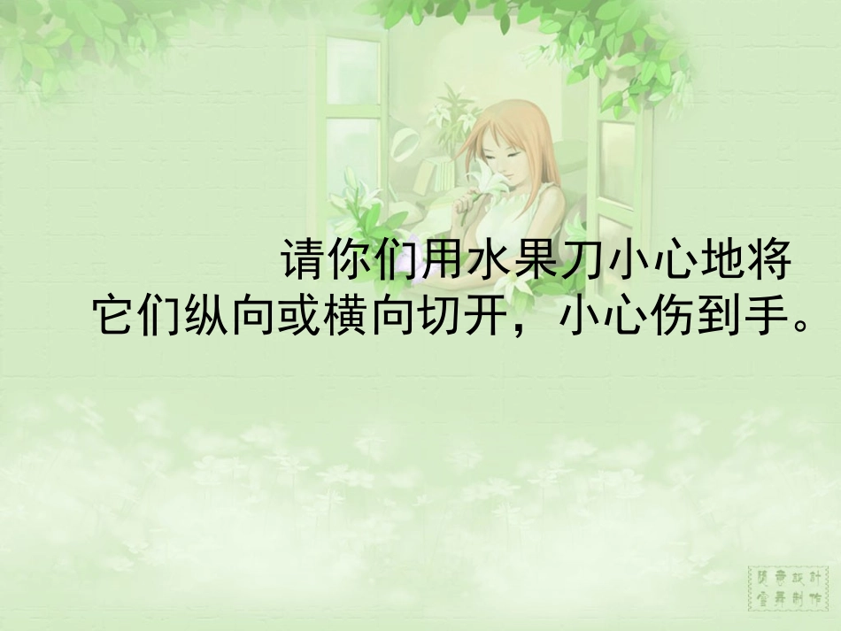 苏教版小学科学三年级下册《果实和种子》_第3页