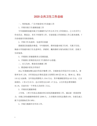 公共卫生工作总结2