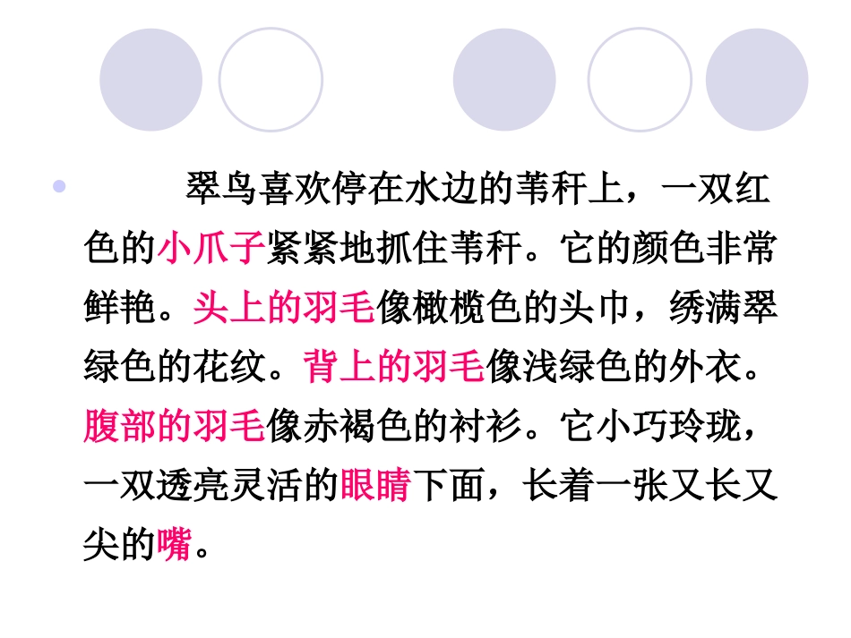 翠鸟课件 (3)_第2页