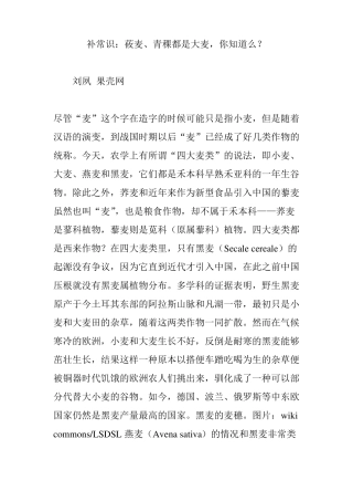 补常识莜麦青稞都是大麦,你知道么？