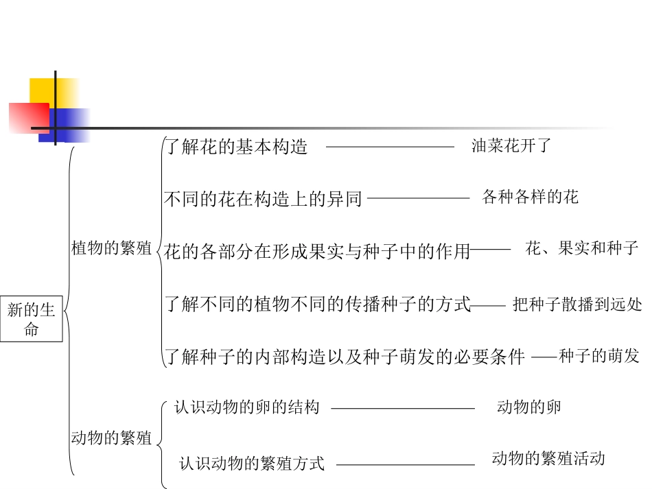 文本解读与目标设计_第2页