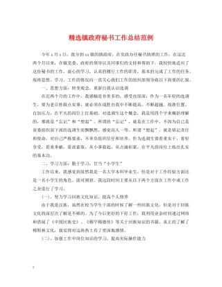 精选镇政府秘书工作总结范例