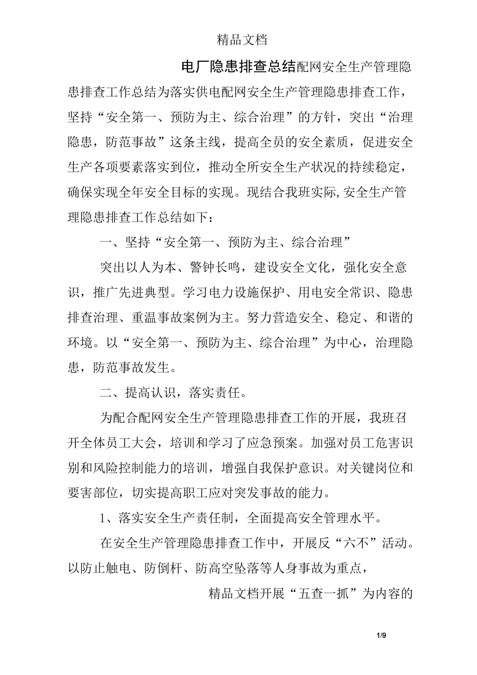 电厂隐患排查总结_第1页