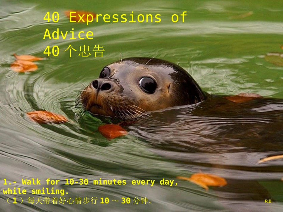 心灵忠告[完整版]_第2页