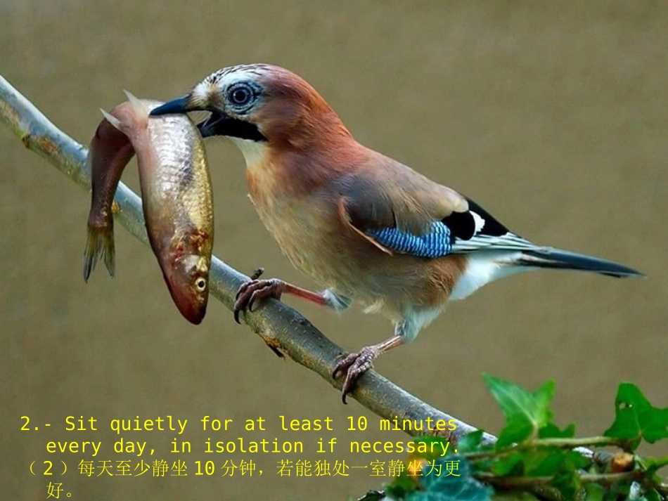 心灵忠告[完整版]_第3页