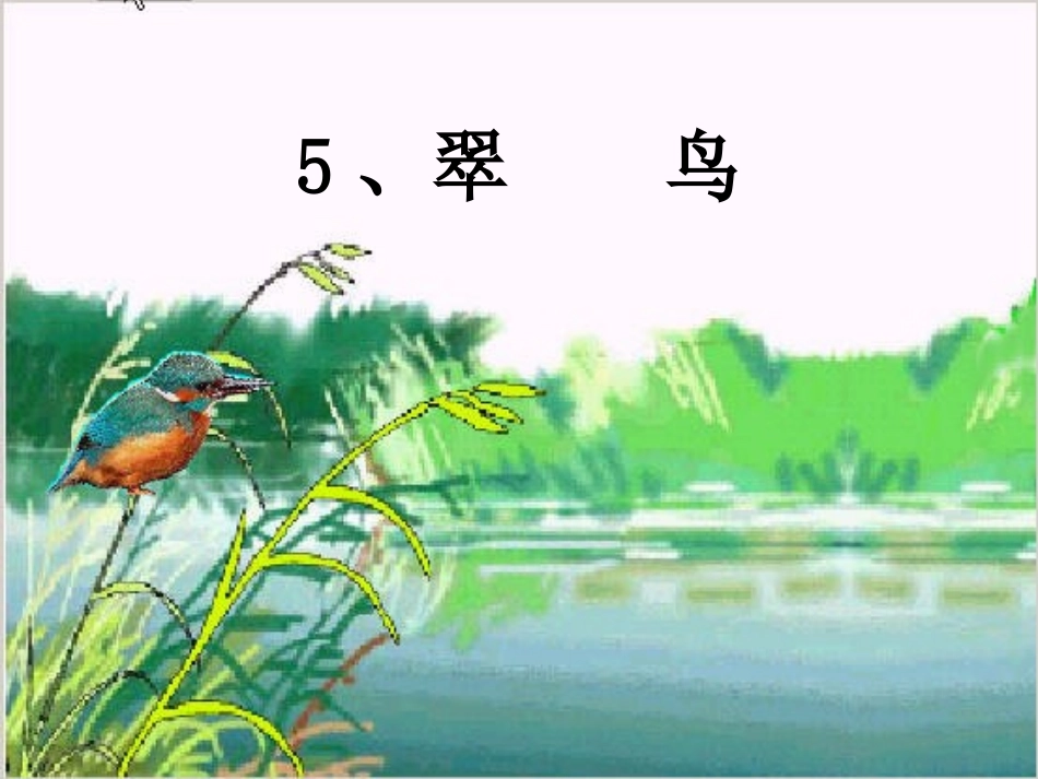 新《翠鸟》课件_第1页