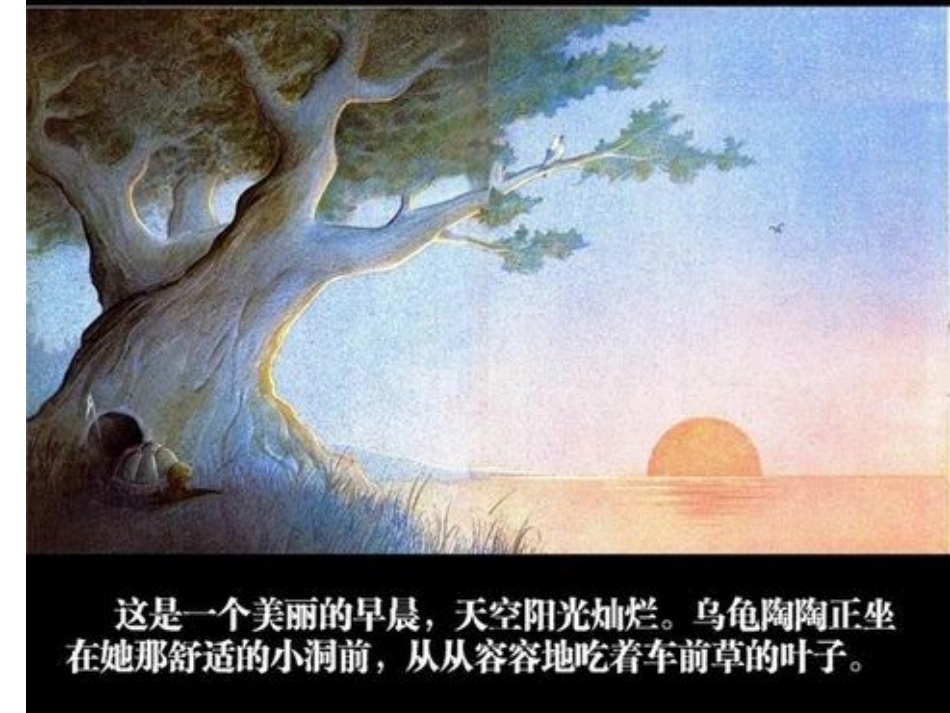 绘本《犟龟》_第2页