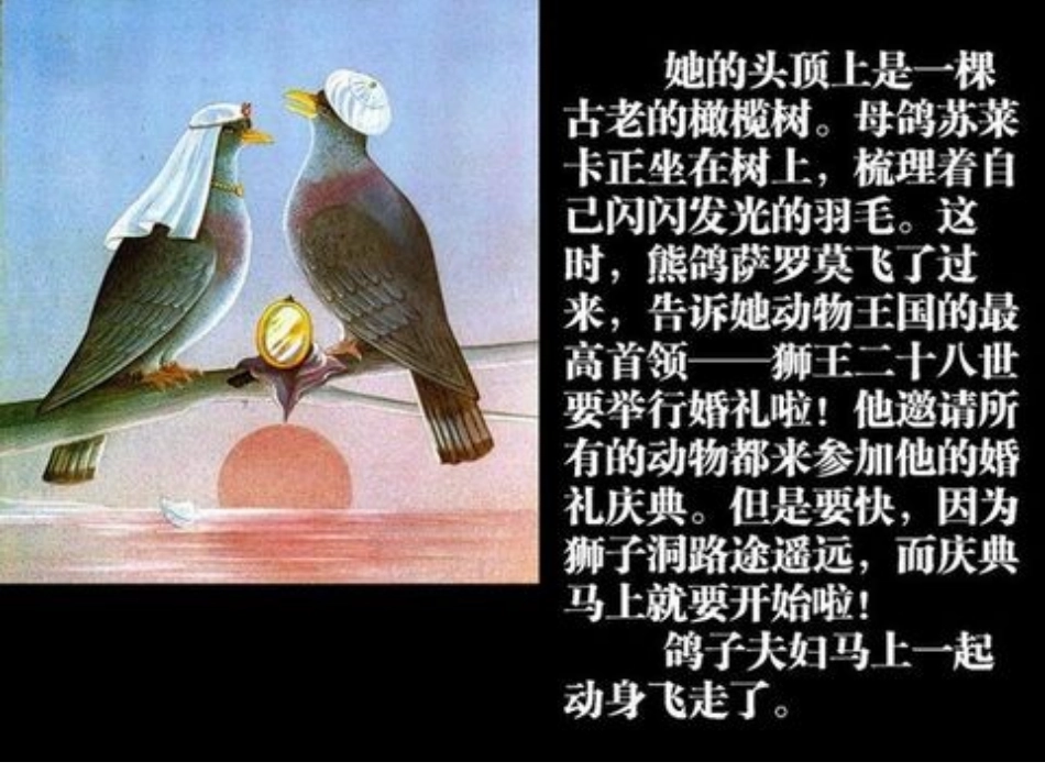 绘本《犟龟》_第3页