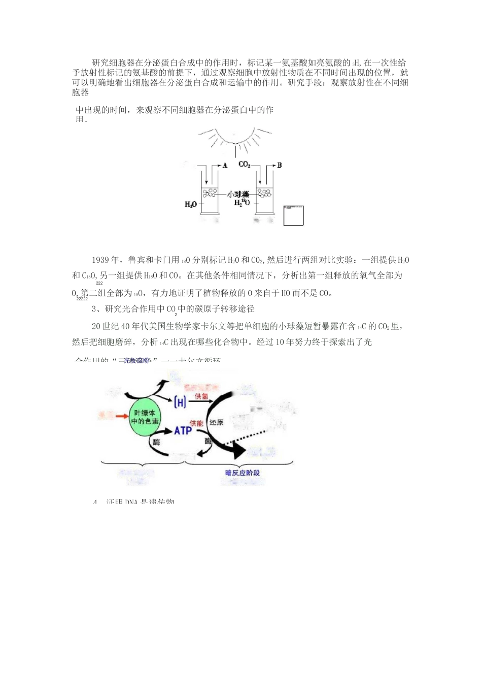 高中生物中的同位素标记与荧光标记技术_第2页